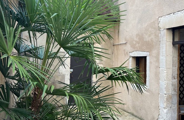 Appartement Cosy Plein Centre - Espaces Extérieurs Privés