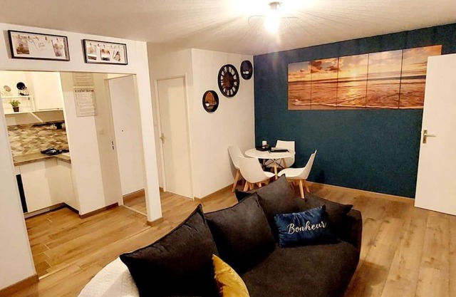 appartement cosy Strasbourg