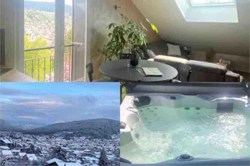 appartement la fleur d'abeille avec une belle vue et spa