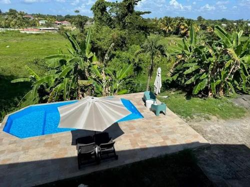 Appartement moderne à Petit-Bourg, 70 m², piscine privée