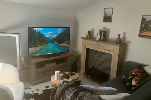 Appartement style chalet proche Cité Carcassonne & lac de la Cavayère