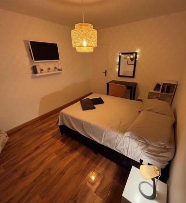 Appartement T2 rénové facultés 5 voyageurs