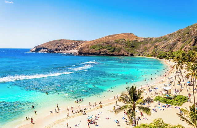 Aqua Palms Condo with City View