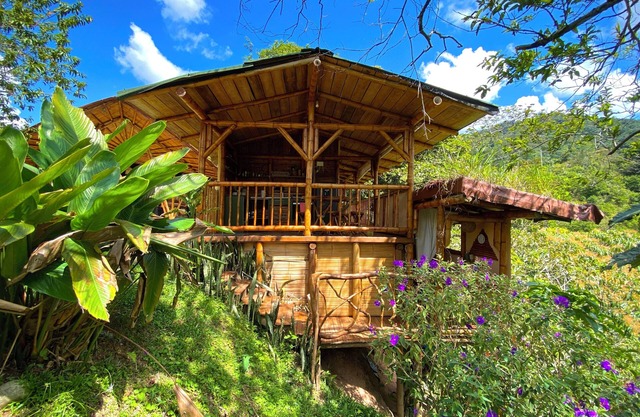 Aracari Ecolodge