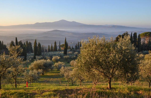 Are you looking for a family-friendly vacation spot in beautiful surroundings? Then this vacation ap