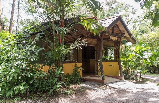 Arenal Oasis