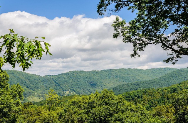 Asheville Lodge- Sleeps 11-21 With Hot Tub!