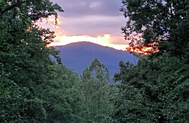 Asheville MountainSide Cabin: Large Porch-HotTub-Trail-2 Streams-7 Wooded Acres!