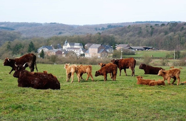 At the Hameau de Xhignesse your gîte at the best price guaranteed