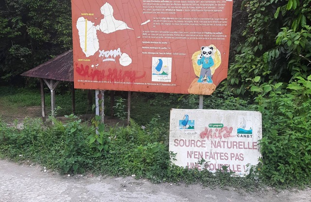 Au cœur de la forêt domaniale chez les roses de porcelaine