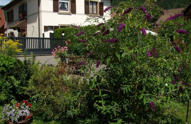 AU SCHNEIGET large detached house.