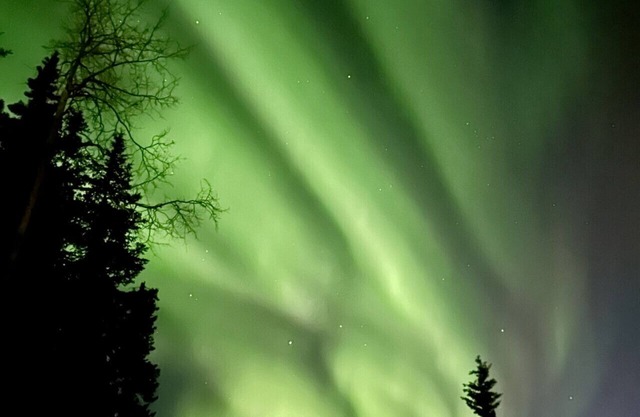 Aurora From Home at Oscar’s Borealis Retreat