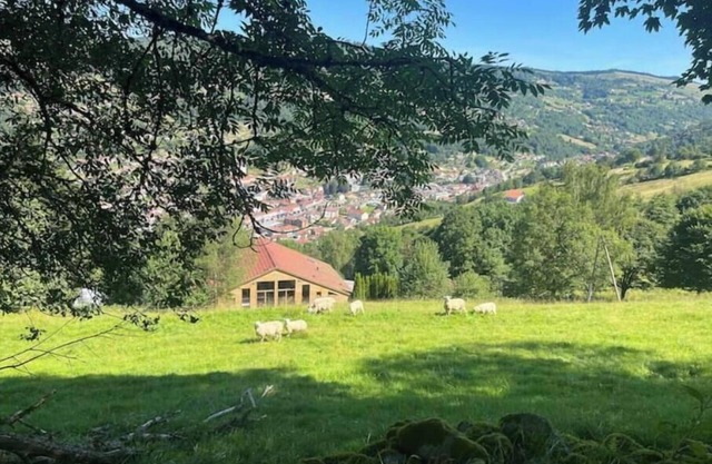 Aus Sources - 14 Personnes - Sauna & Jacuzzi