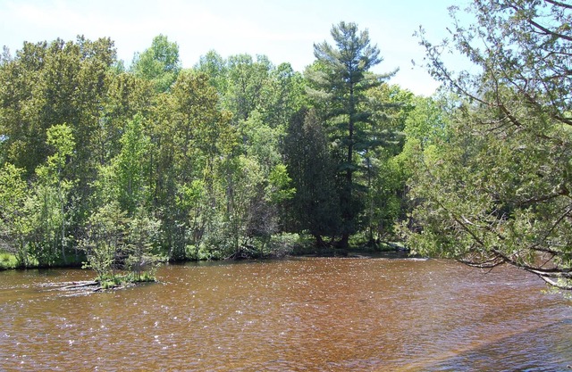 Ausable River - Beautiful Views - Bear Den