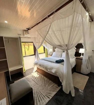 Austin's Oasis Apartment