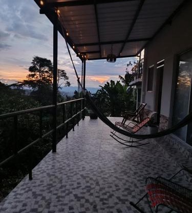 Authentic coffee farm