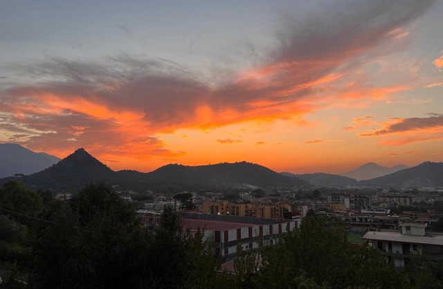 Azienda agricola zootecnica Soriente di Guglielmo Areh Soriente & C.S.A.S
