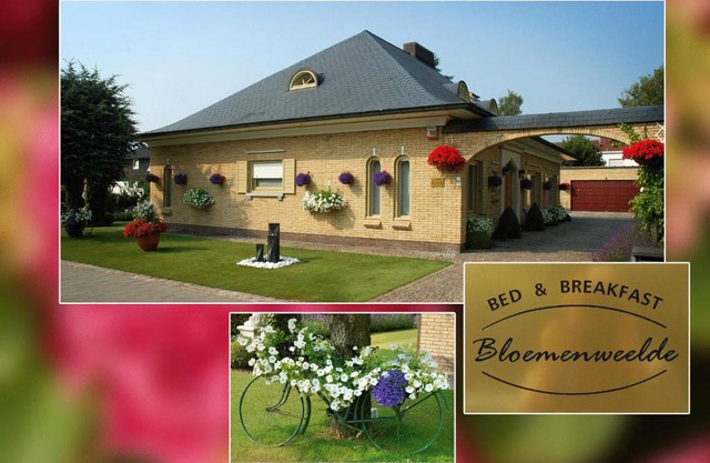 B&B Bloemenweelde