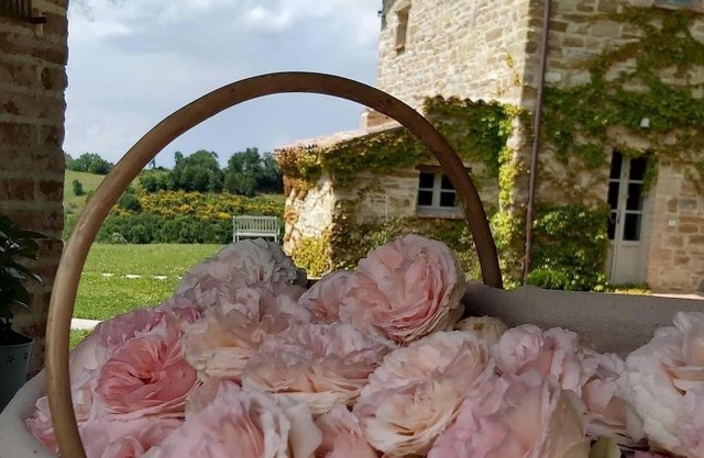 B&B Cascina Artemisia