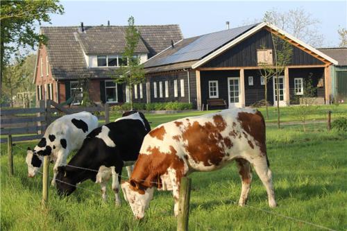 B&B 't Bievink - buitengewoon overnachten
