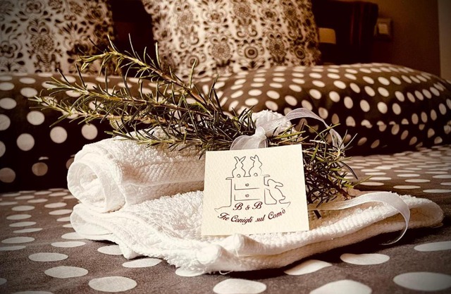 B&B Tre Conigli sul Comò