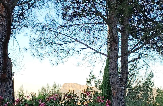 Bastidon Totalement Rénové et Indépendant