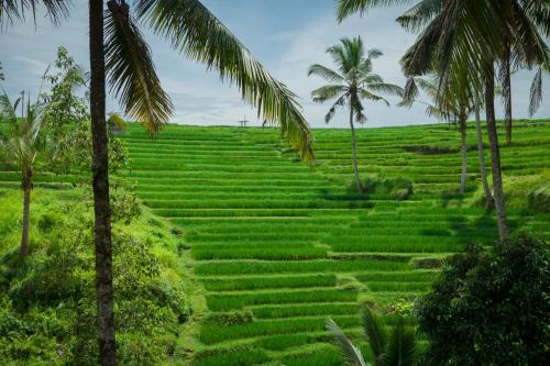 Be Bali Stay