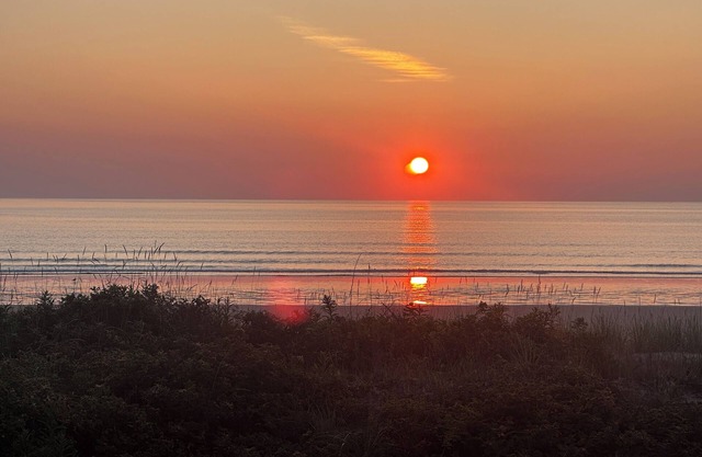 Beach front home only step to the water & easy commute to downtown Boston
