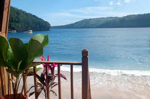 Beach House on Gamat Bay
