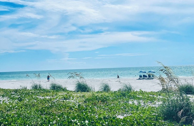 Beach to Bay Beauty- available for season 2026-Pet friendly!