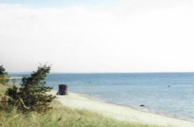 Beachfront Cottage on 190 ' of Lake Michigan in Good Hart