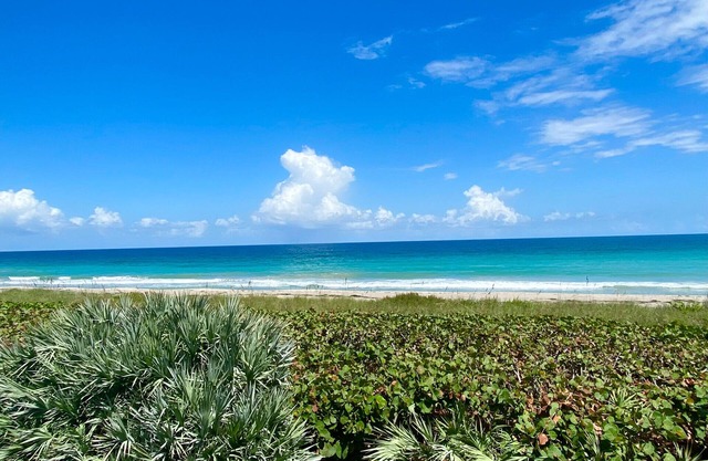 Beachfront, ocean views, gated beach entry, walk to restaurants, boutique decor