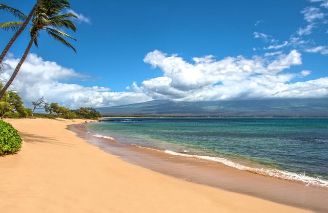 Beachfront Resort HK-C9 - Maui Condo in Secluded Gardenview in Ma'alaea Bay