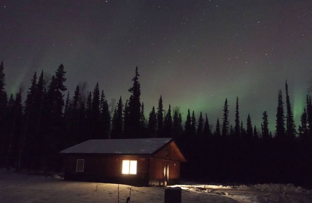 Bear Paws in North Pole, Alaska