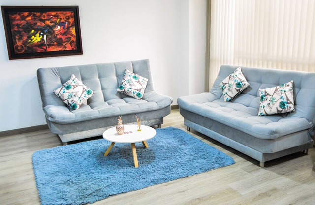 BEAUTIFUL AND SPACIOUS APARTMENT NEAR THE G ZONE