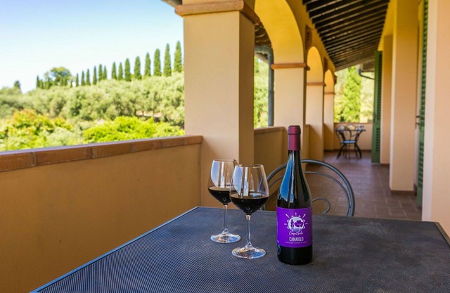 Beautiful apartment for 2 guests with A/C, WIFI, pool, TV and pets allowed