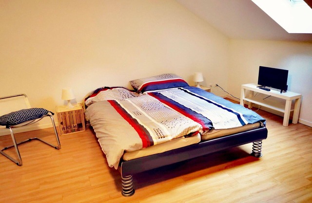 Beautiful apartment for 2 guests with WIFI, TV, balcony and pets allowed