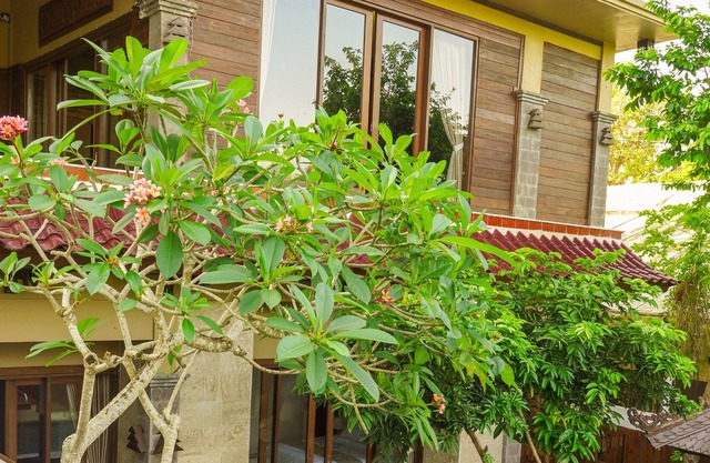 Beautiful Authentic Balinese Villa, with "homey" feeling.