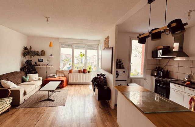 Beautiful bright apartment near Mulhouse