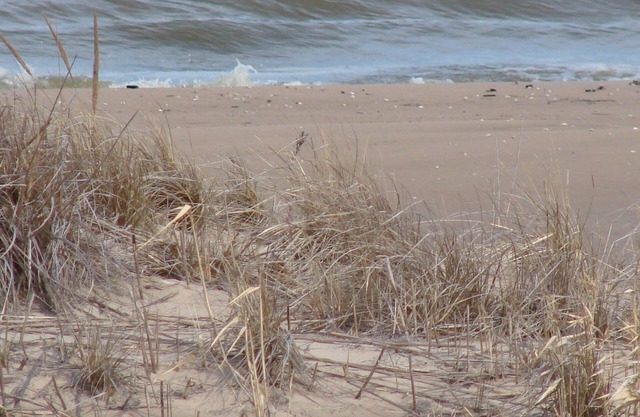 Beautiful Cozy Cottage on Lake Michigan! Summer is here! Don't miss Door county!