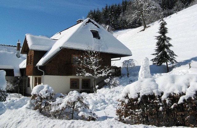 Beautiful farmhouse near the ski area