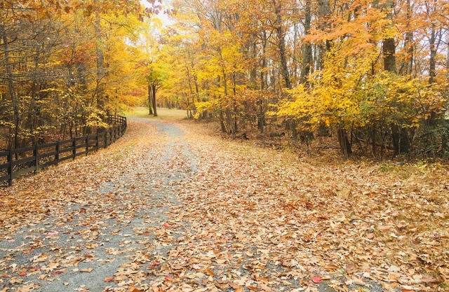 Beautiful Fall Escape!