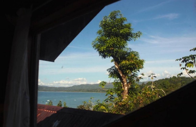 Beautiful house with panoramic view of the bay and gardens