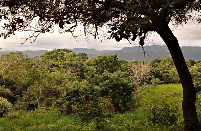 Beautiful place with river walk in Montezuma