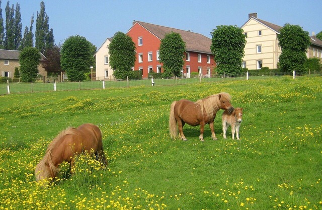 Beautiful private villa for 6 guests with WIFI, TV, terrace, pets allowed and parking