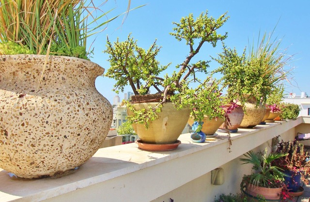 BEAUTIFUL RENOVATED 2 BR ROOF APT IN CENTRAL TLV
