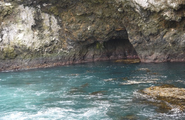 Beautiful Ventura Hillside Cottage With Beautiful Sunset Ocean View