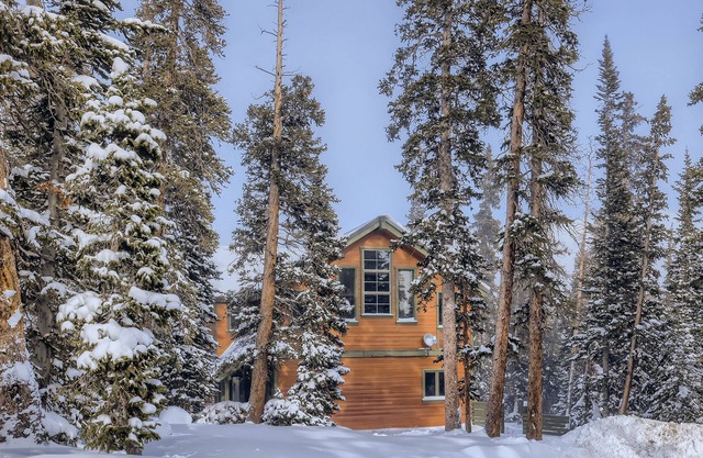 Beautifully updated home with fireplaces & washer/dryer - dog-friendly