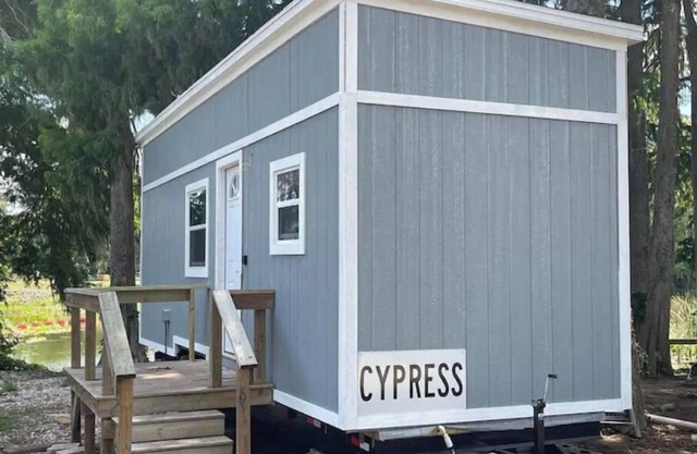 Beauty on the water - Cypress