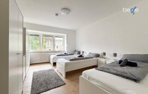 BEGE APARTMENTS UrbanWork